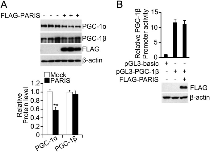 Fig. S6.