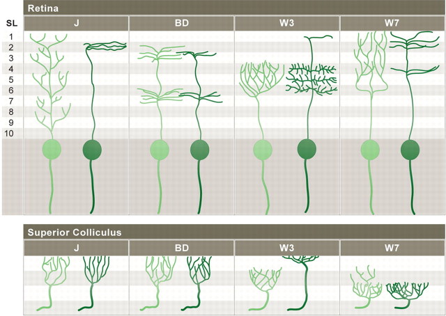 Figure 10.