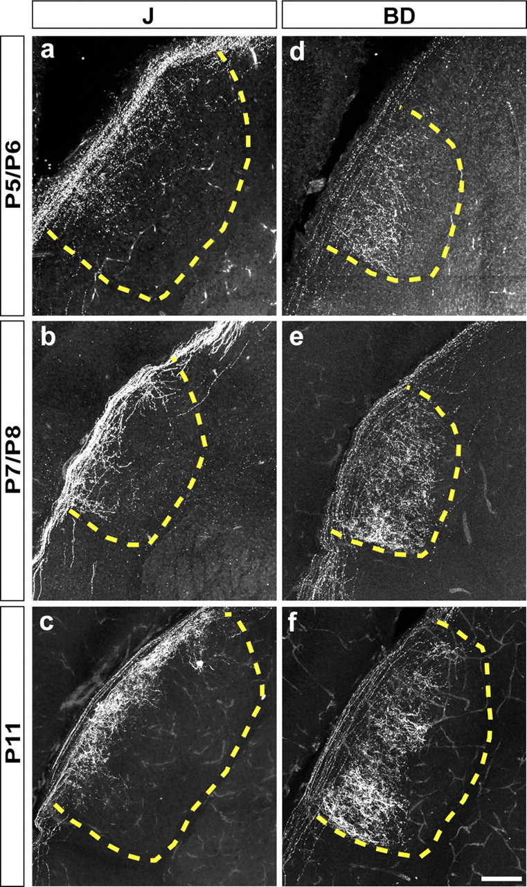 Figure 9.