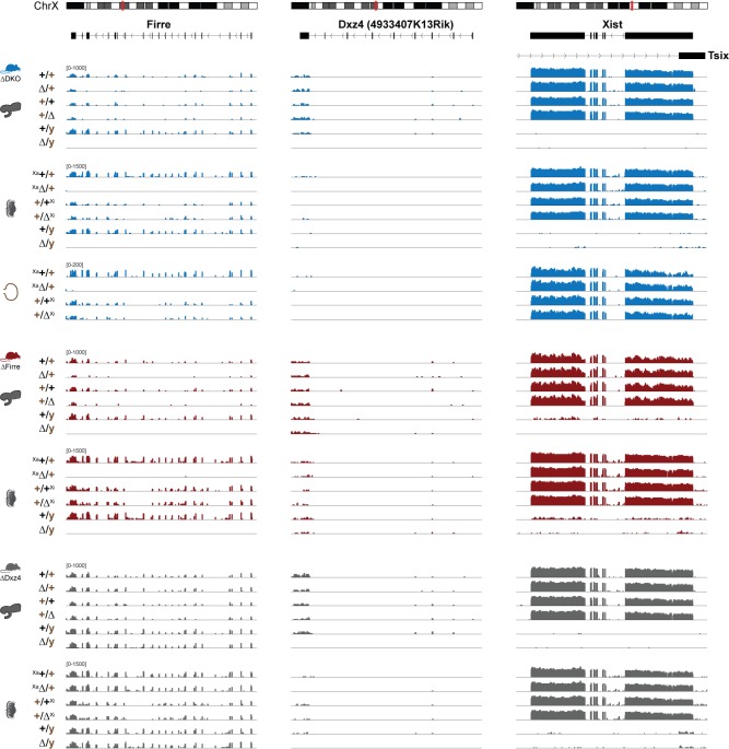 Figure 2—figure supplement 2.