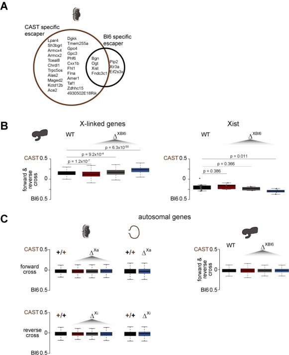 Figure 3—figure supplement 2.