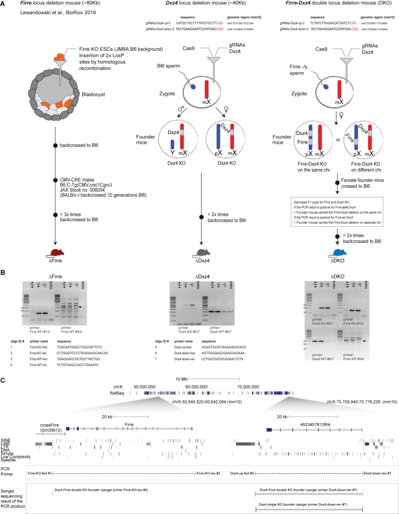 Figure 1—figure supplement 1.