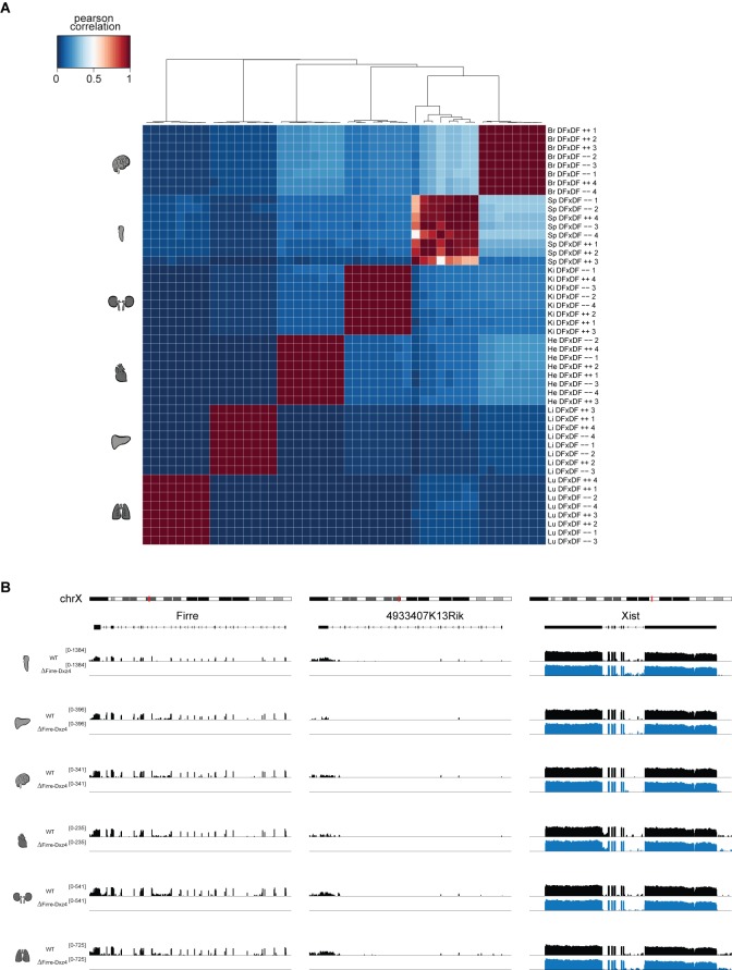 Figure 4—figure supplement 1.