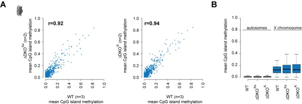 Figure 3—figure supplement 1.