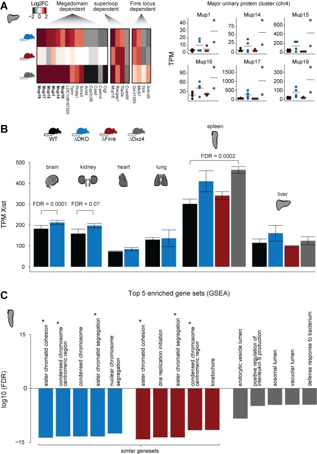 Figure 4—figure supplement 2.