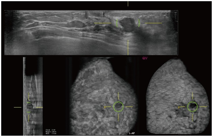 Fig. 8