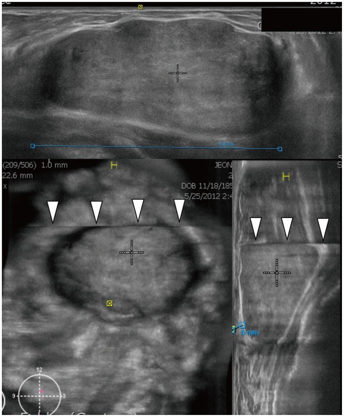 Fig. 7