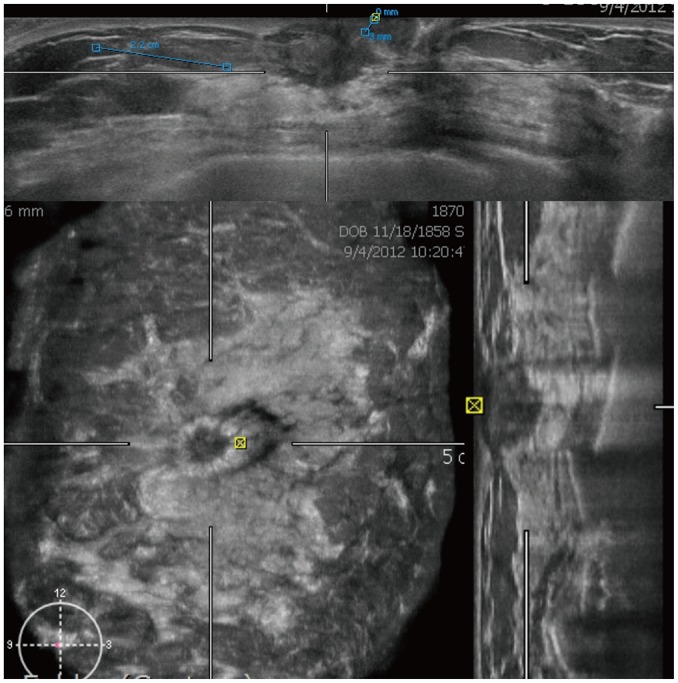 Fig. 3