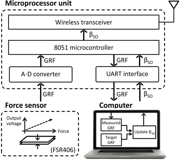 FIGURE 2