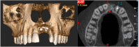 Fig. 9