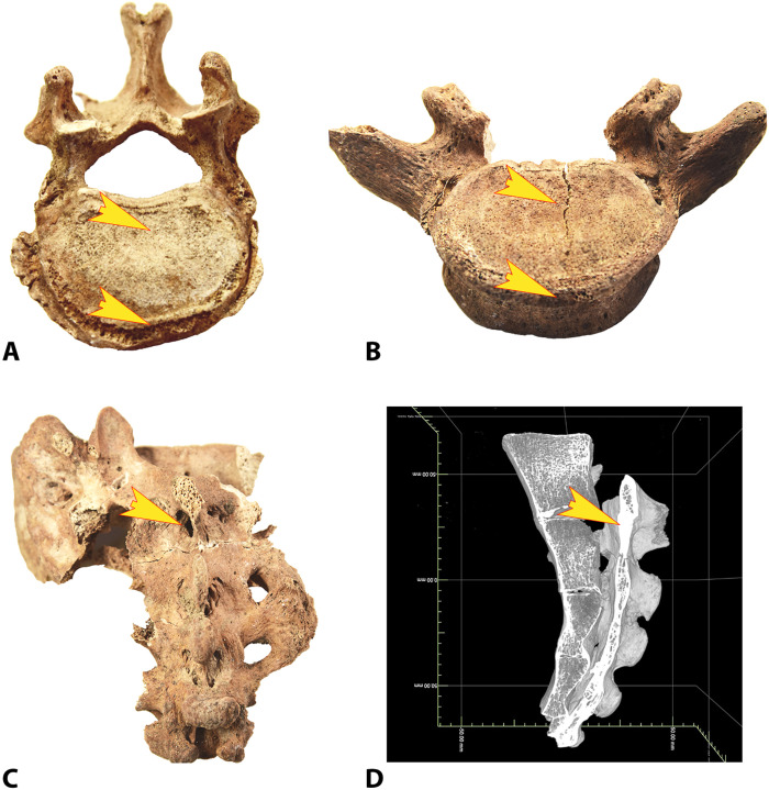 Fig. 4.