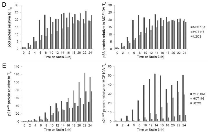 Figure 2D and E. 