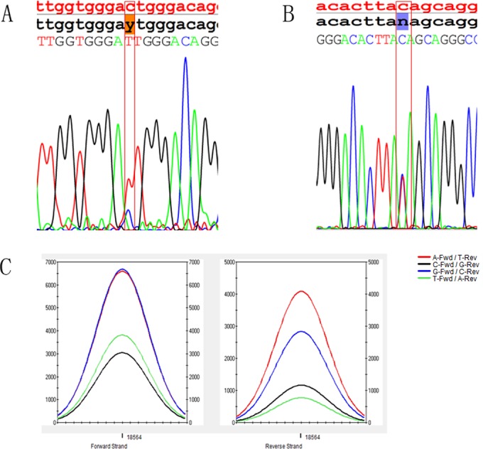 Fig 4