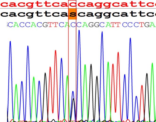 Fig 5