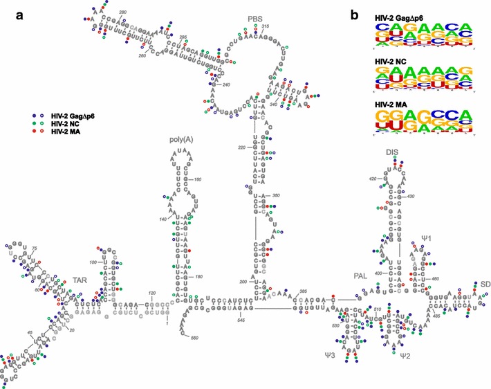 Fig. 2