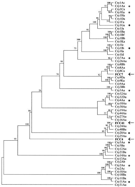 FIG. 3.