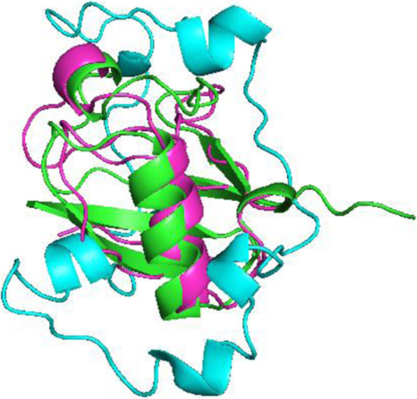 Fig. 7