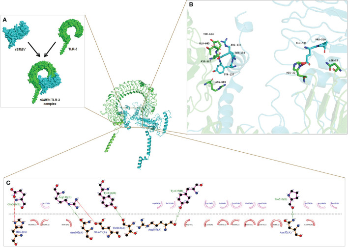 Figure 11