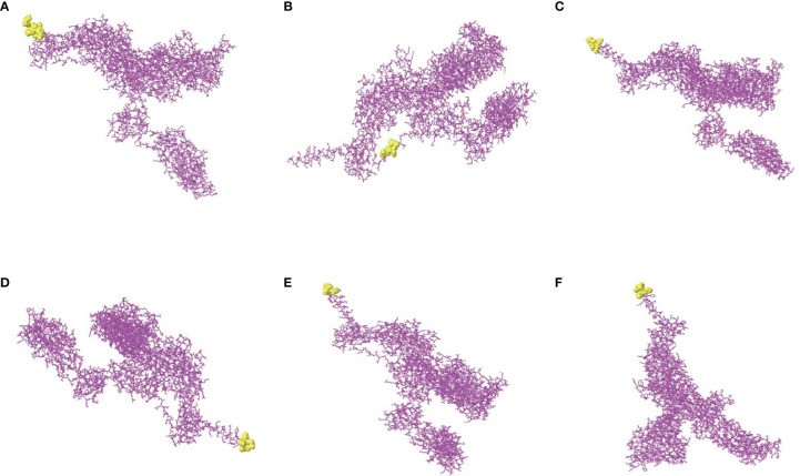 Figure 7