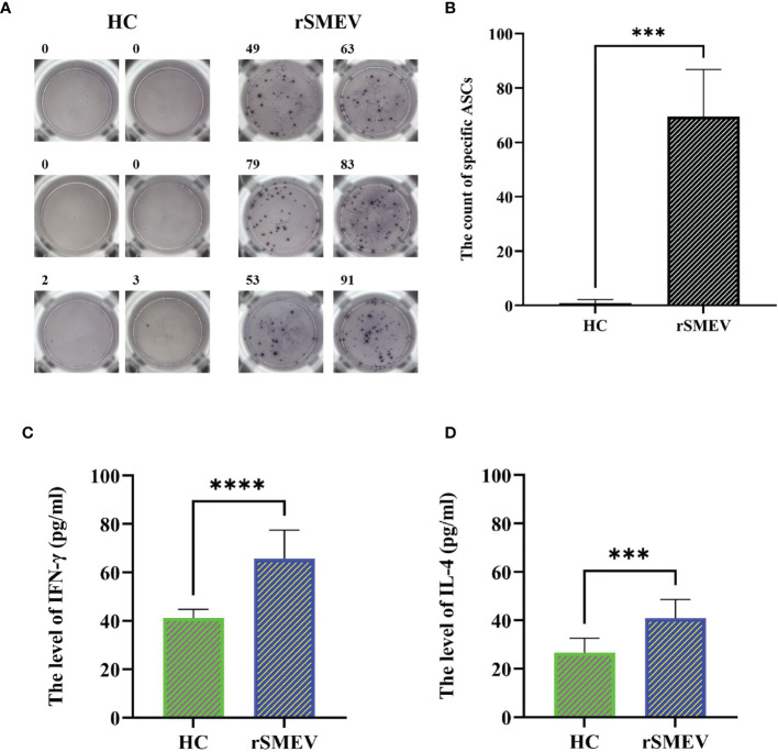 Figure 14