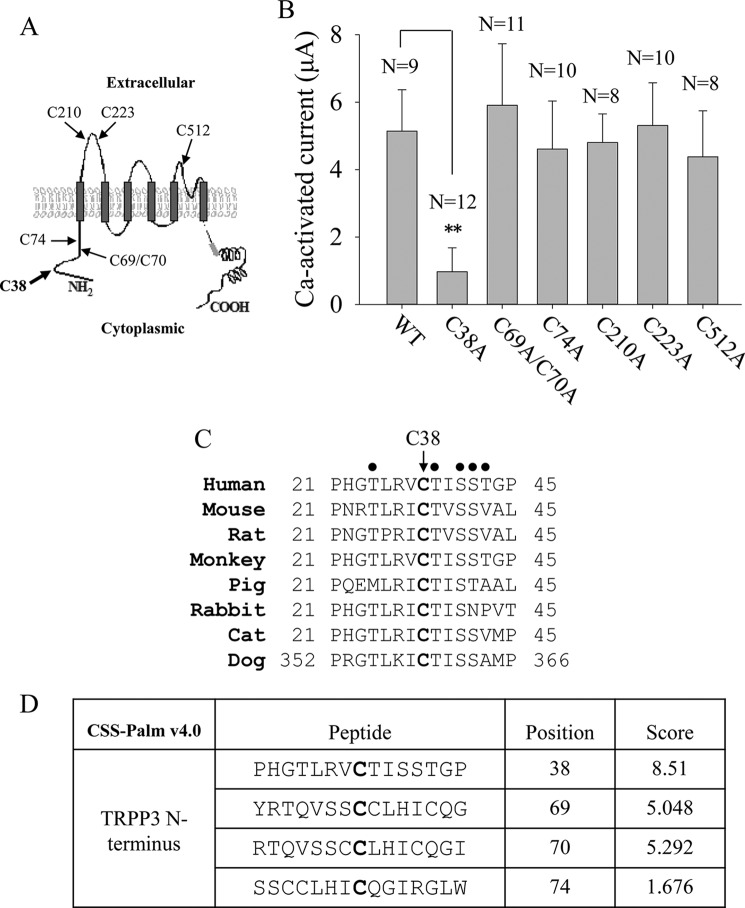 FIGURE 3.