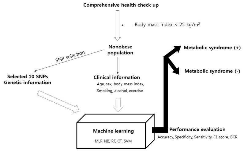 Fig. 1