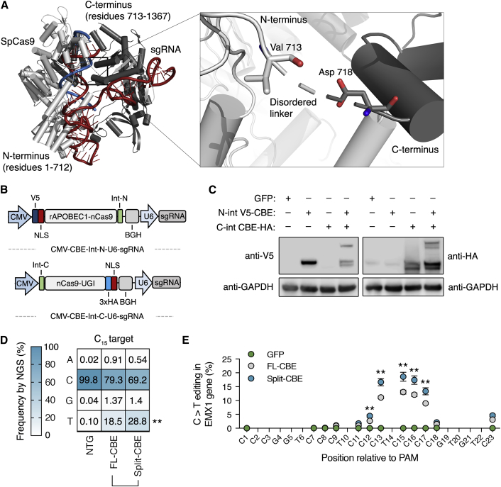 Figure 2