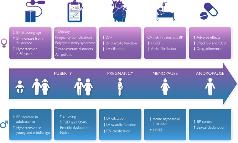 Graphical Abstract