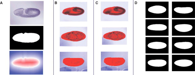 Fig. 3.