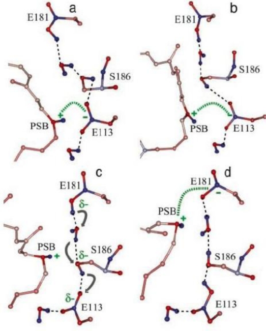 Figure 10.