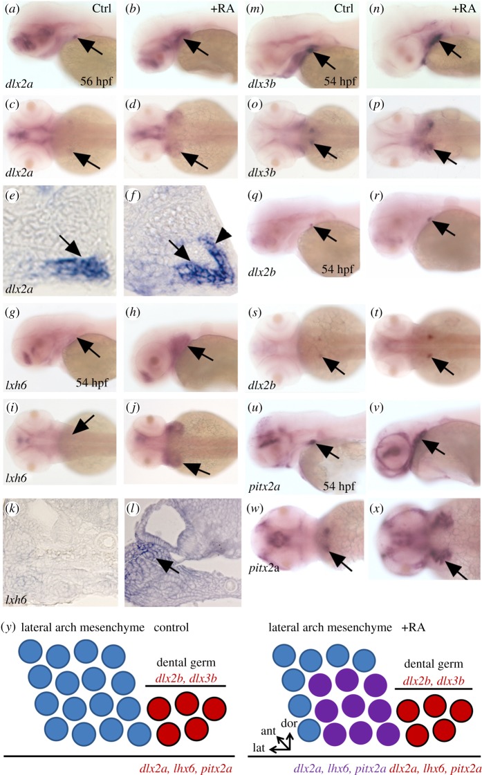 Figure 4.