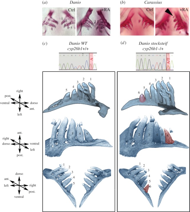 Figure 3.