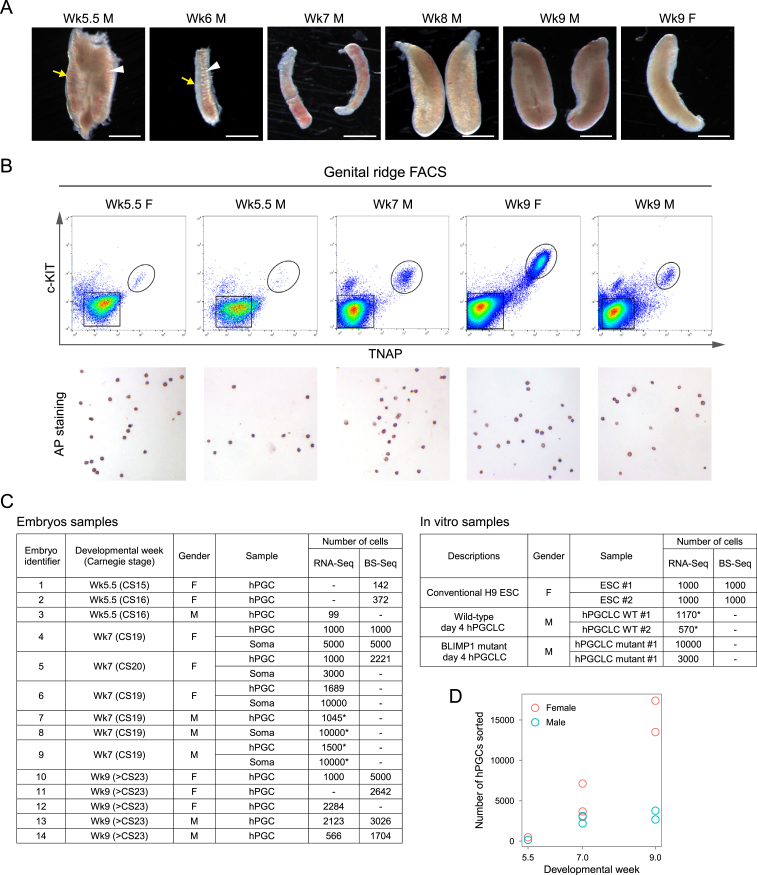 Figure S1