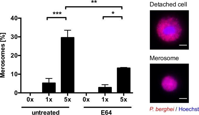 FIG 3 