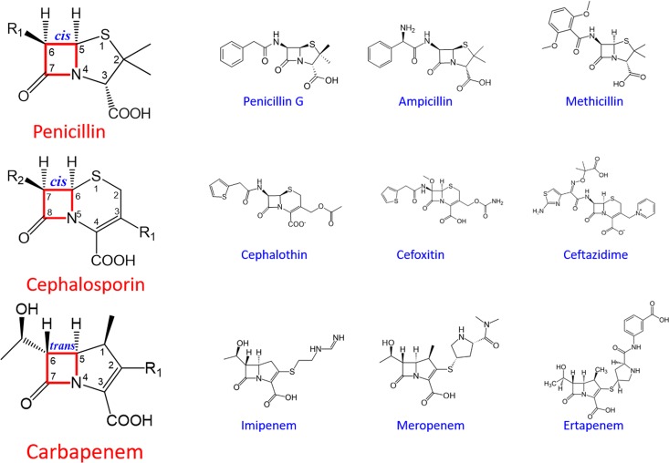 FIG 2