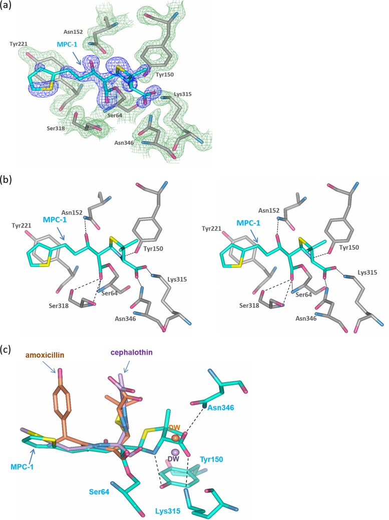 FIG 6