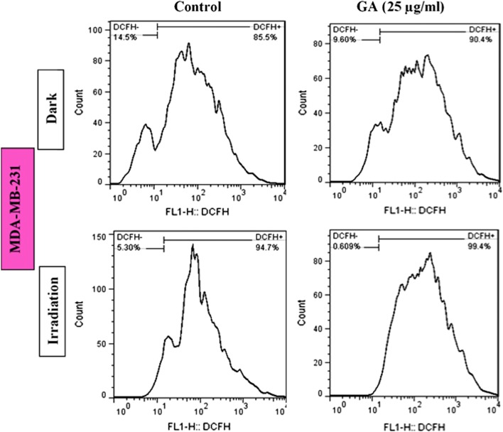 Fig. 7