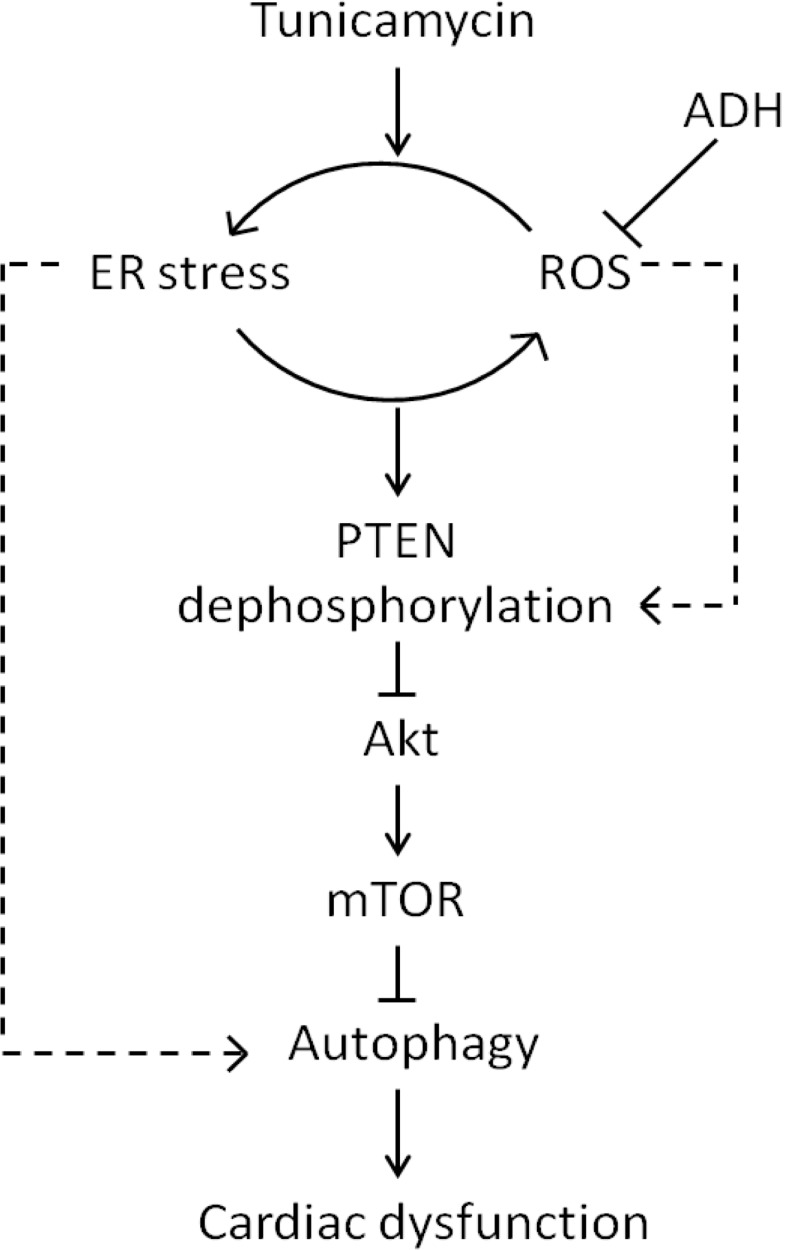 Fig 10