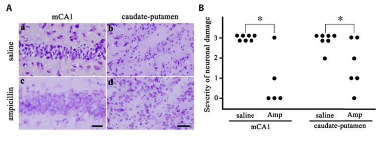 Fig. 4 (Corrected)