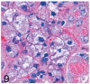 Fig. 9