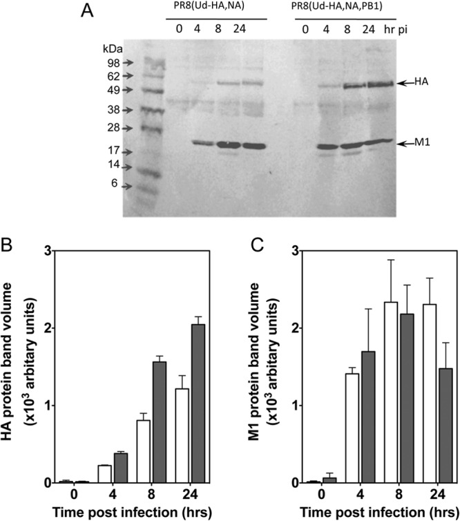 Fig 3