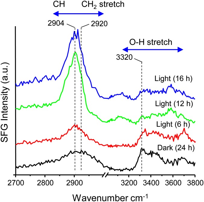 Figure 3.