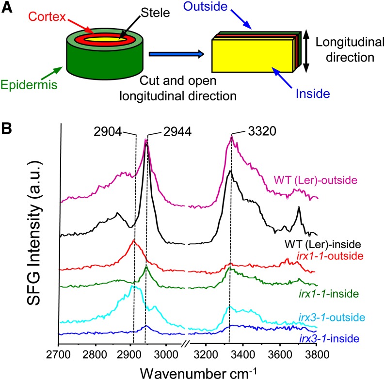 Figure 2.