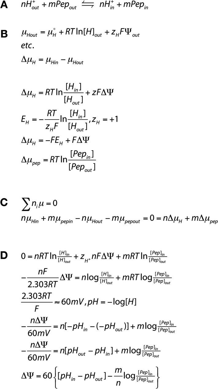 Figure 2—figure supplement 1.