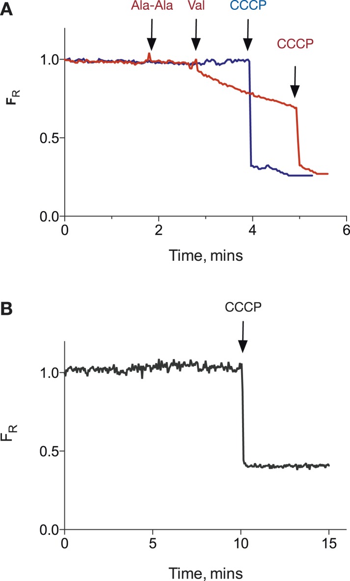 Figure 1—figure supplement 2.