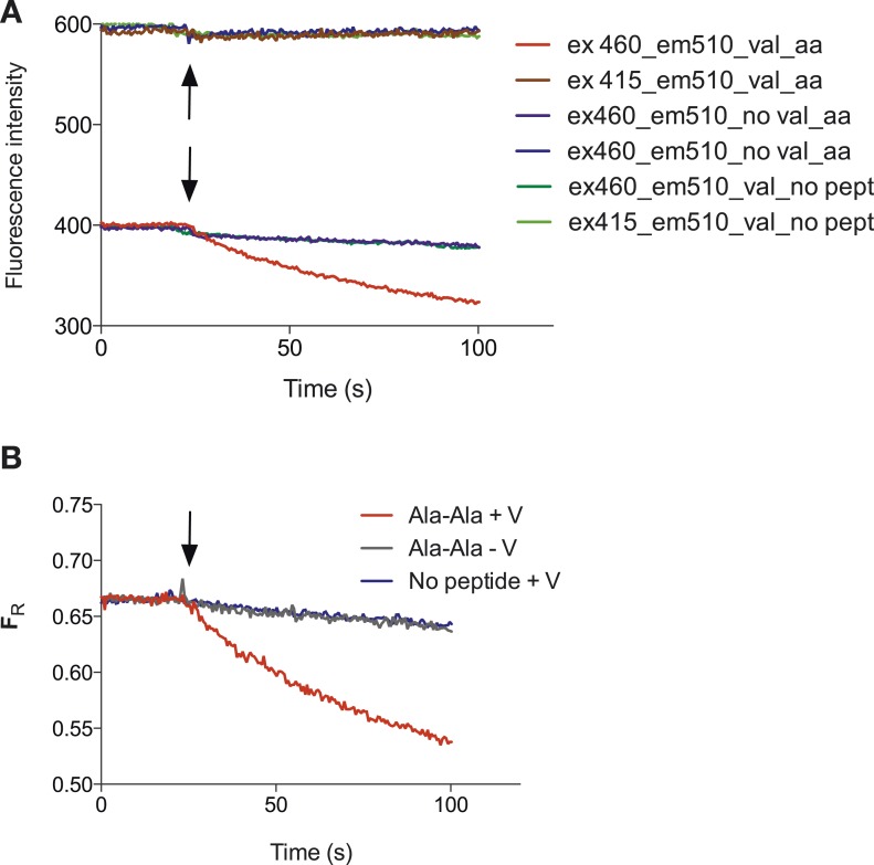 Figure 1—figure supplement 1.