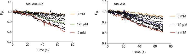 Figure 1—figure supplement 3.