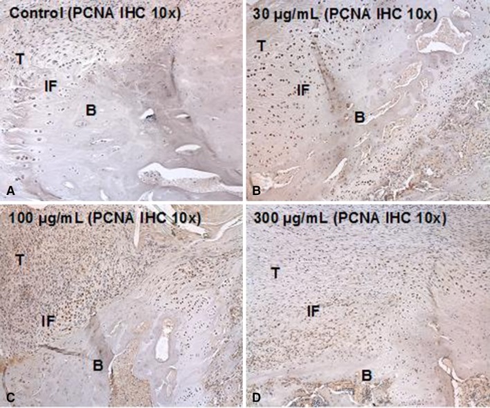 Fig. 3A–D