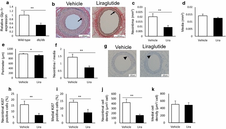 Fig. 7