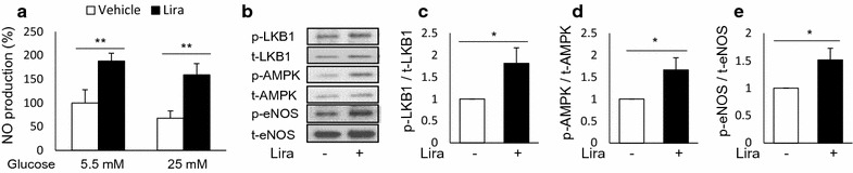 Fig. 8